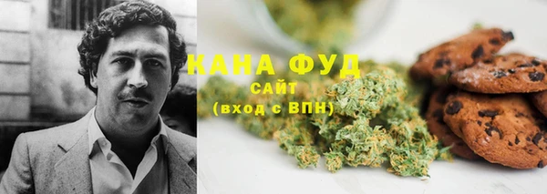 спиды Бородино