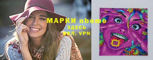 спиды Бородино