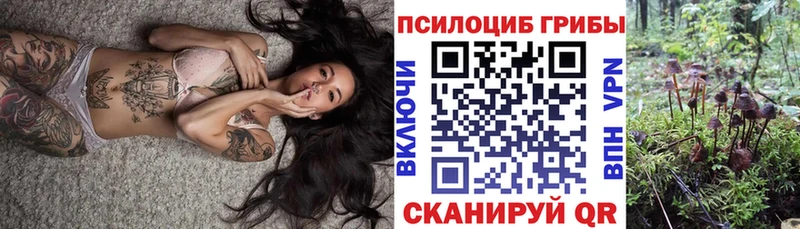 Псилоцибиновые грибы Psilocybine cubensis  Горняк 